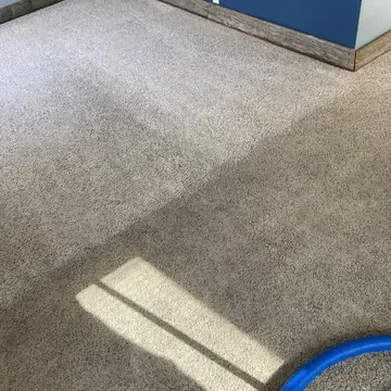 Freshly steam cleaned living room carpet in a Kearney, Nebraska home