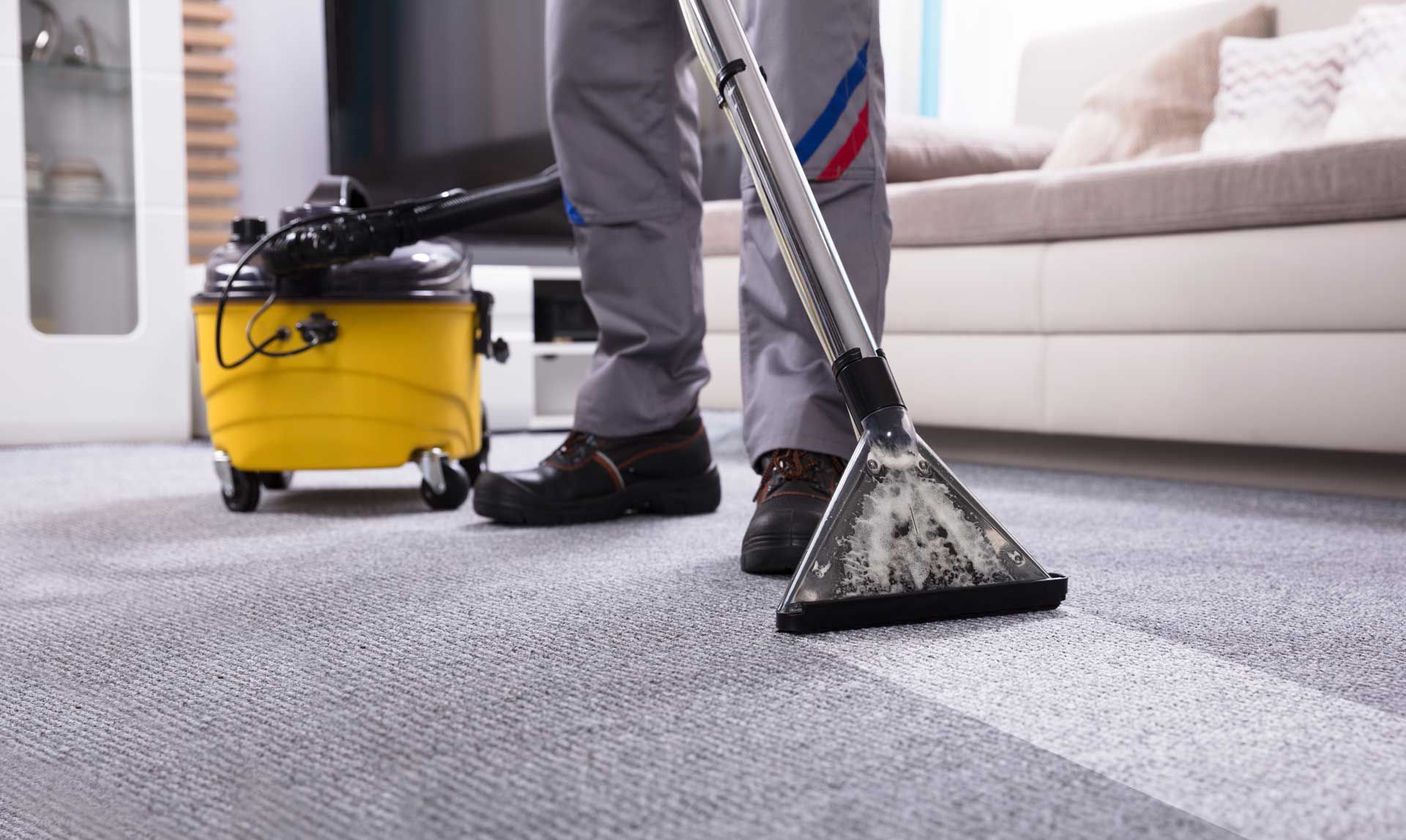 Fresh, clean living room after odor control treatment