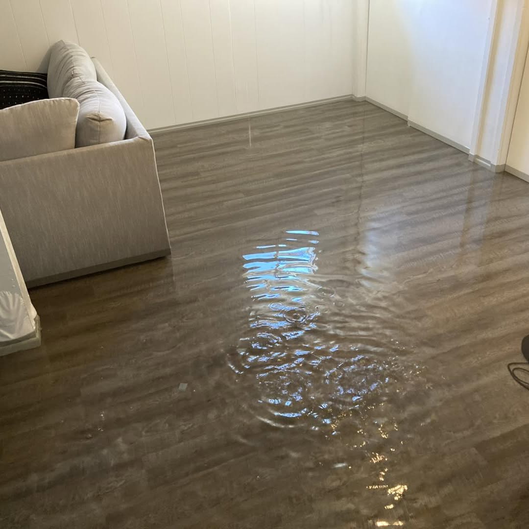 Standing water across a flooded living room floor on a Crystal Clean job